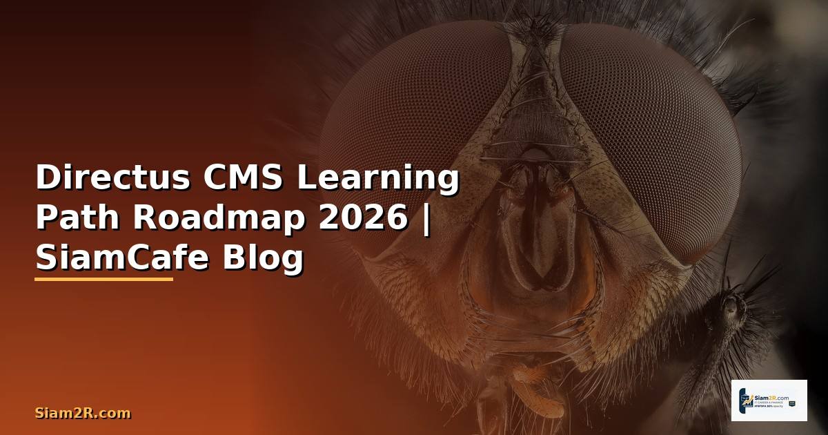 Directus CMS Learning Path Roadmap
