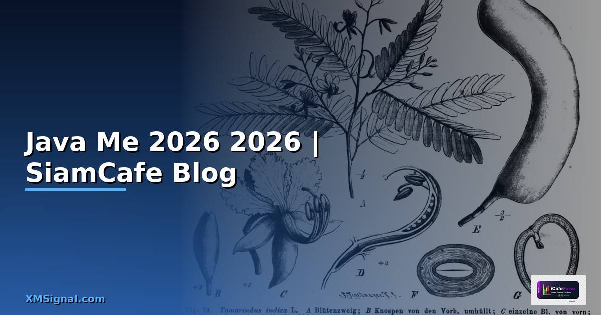 Java Me คืออะไร — คู่มือโปรแกรมมิ่ง 2026
