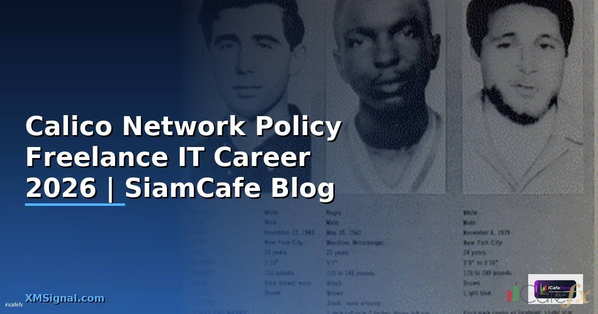 Calico Network Policy Freelance IT Career