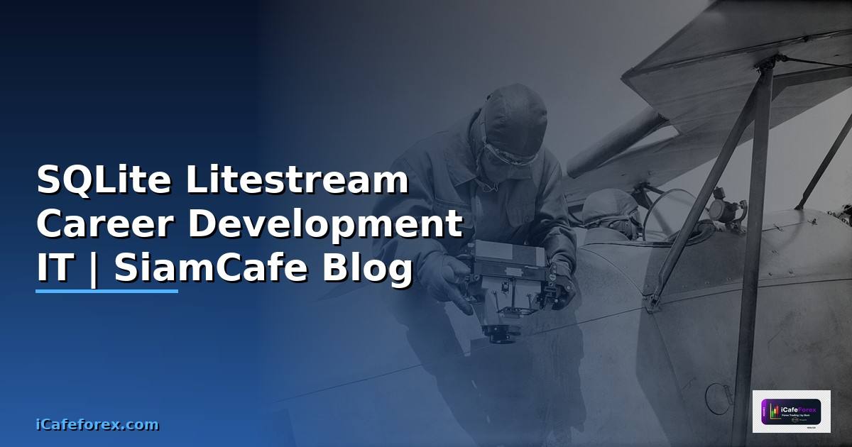 SQLite Litestream Career Development IT