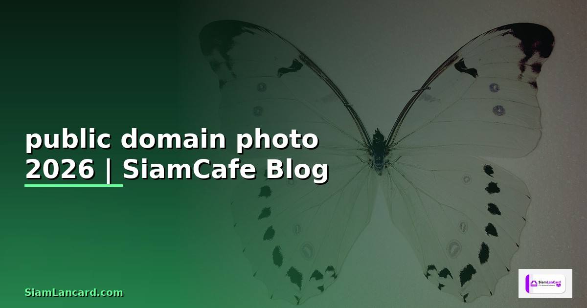 public domain photo คือ