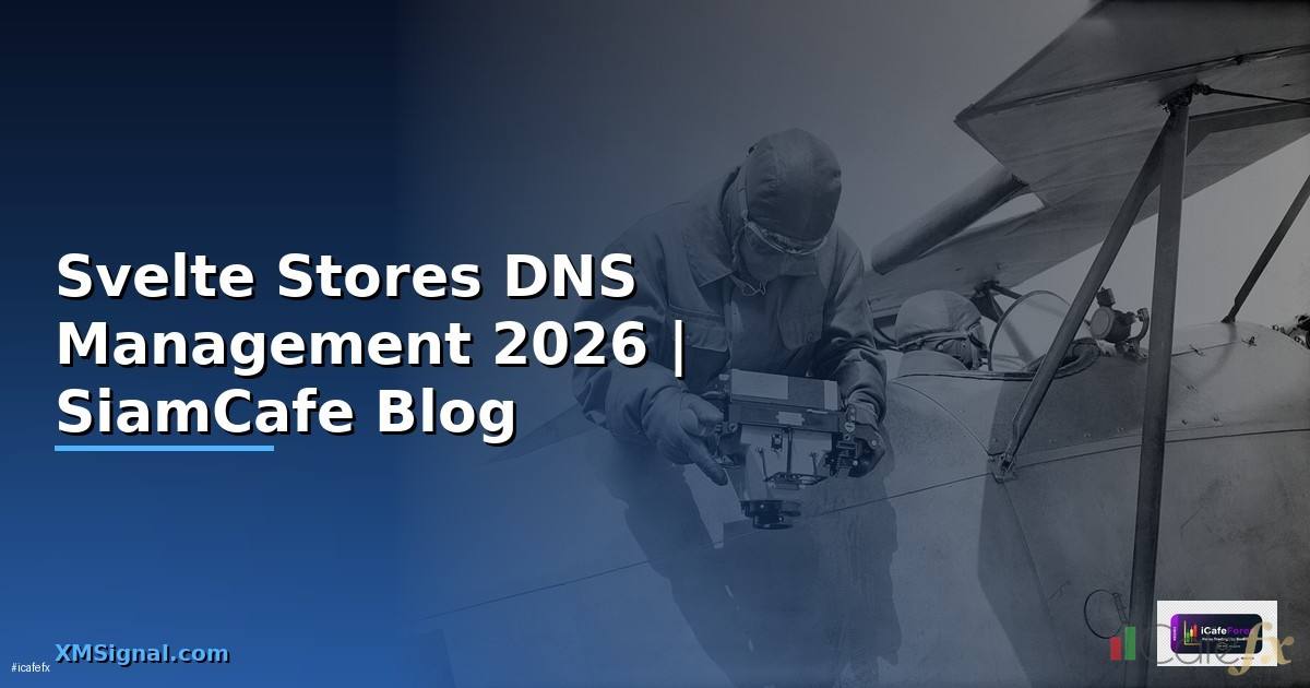 Svelte Stores DNS Management