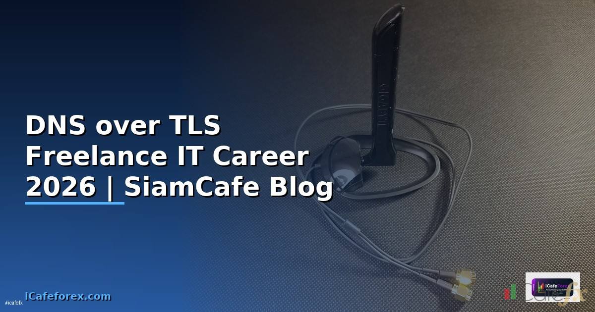 DNS over TLS Freelance IT Career