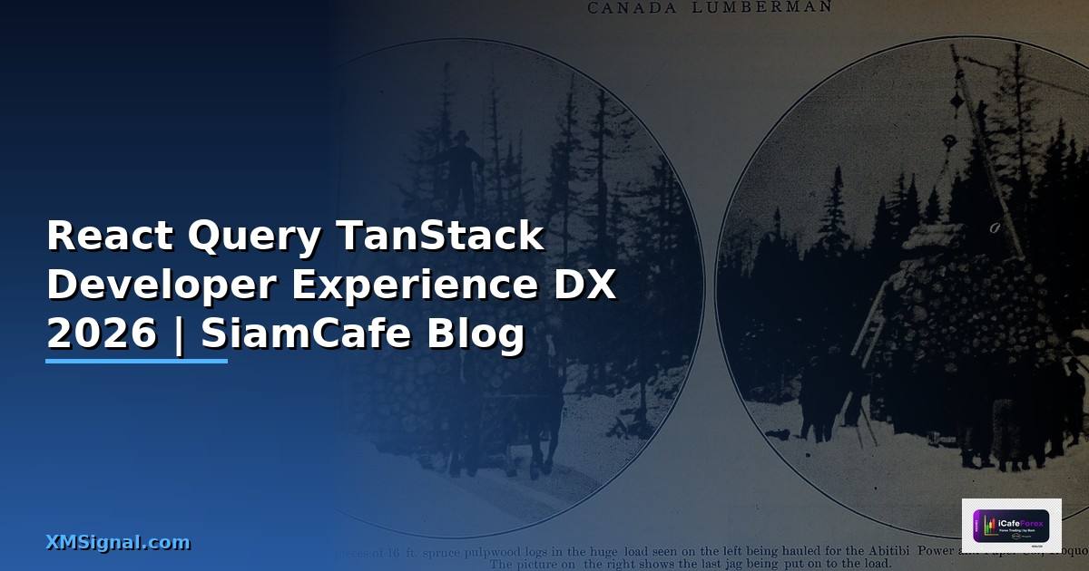 React Query TanStack Developer Experience DX