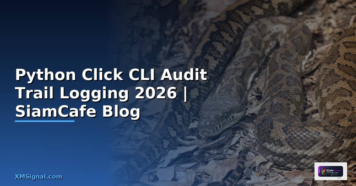 Python Click CLI Audit Trail Logging
