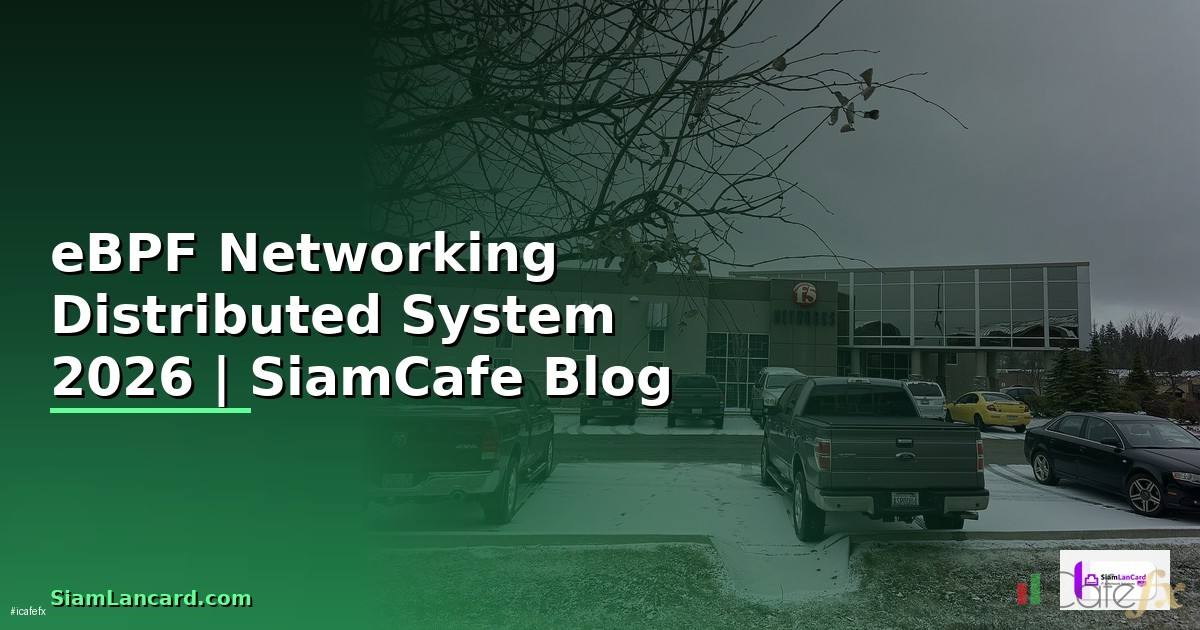 eBPF Networking Distributed System