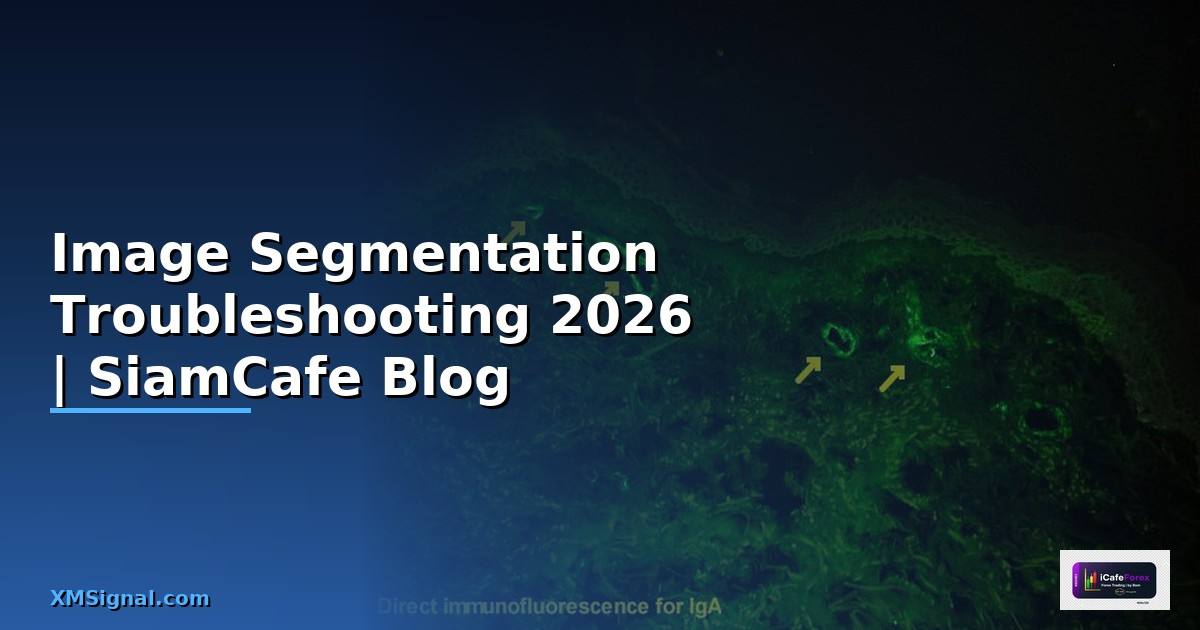 Image Segmentation Troubleshooting แก้ปัญหา —