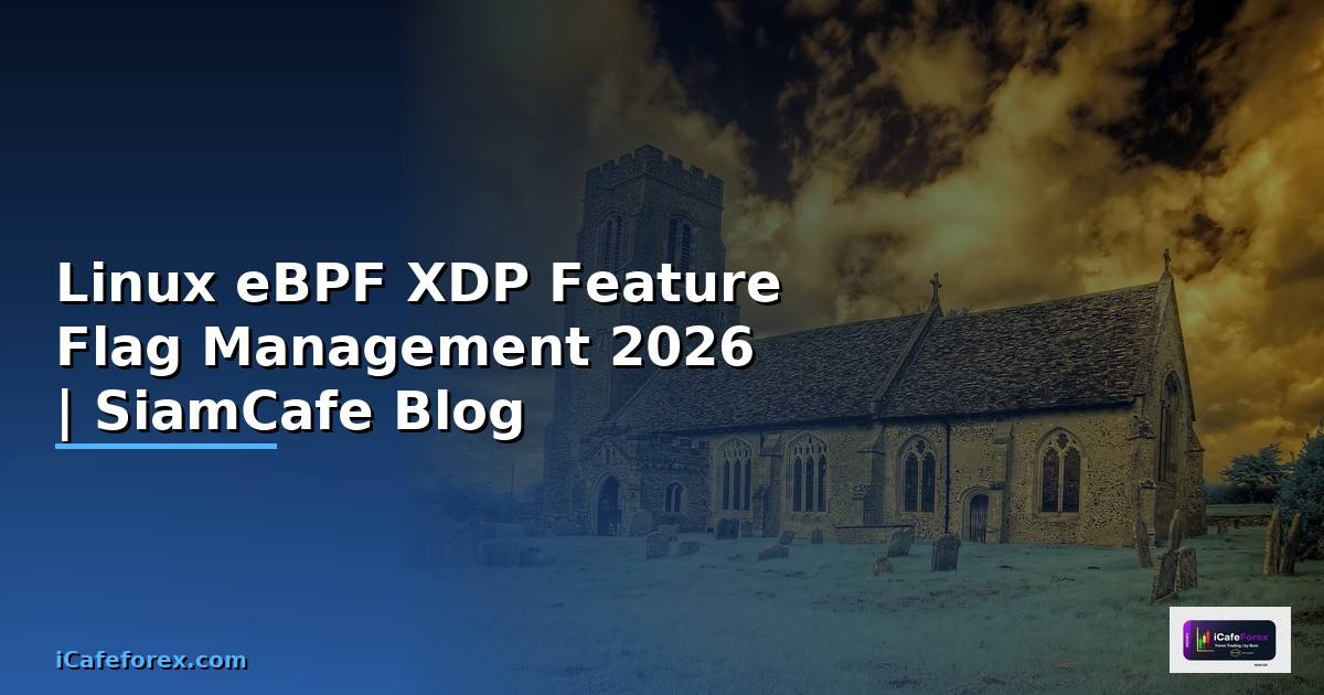 Linux eBPF XDP Feature Flag Management