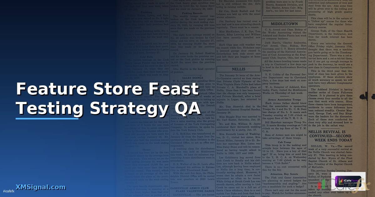 Feature Store Feast Testing Strategy QA —