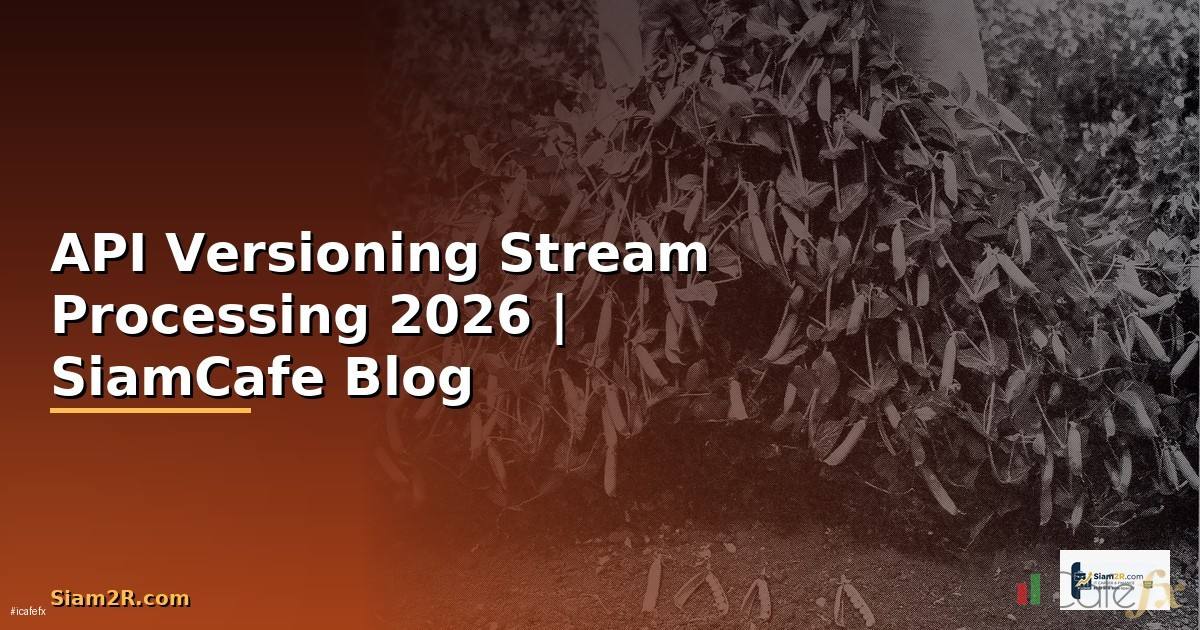 API Versioning Stream Processing