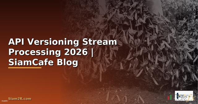 API Versioning Stream Processing