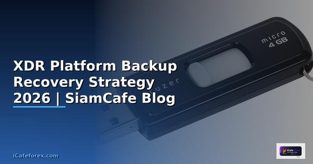 XDR Platform Backup Recovery Strategy