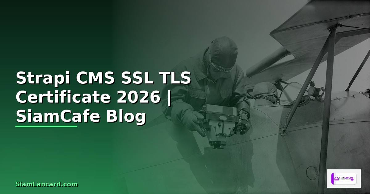 Strapi CMS SSL TLS Certificate