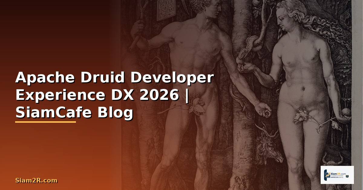 Apache Druid Developer Experience DX
