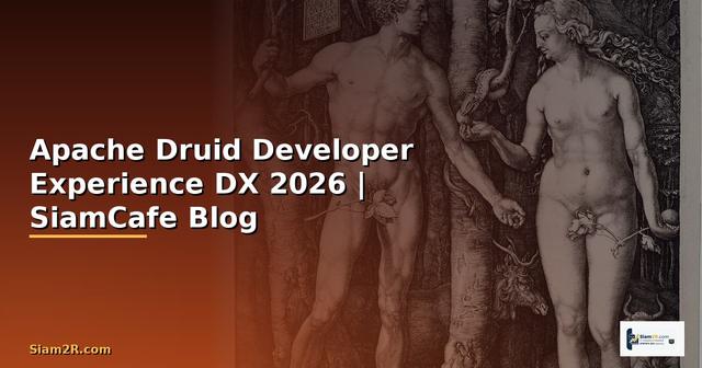 Apache Druid Developer Experience DX