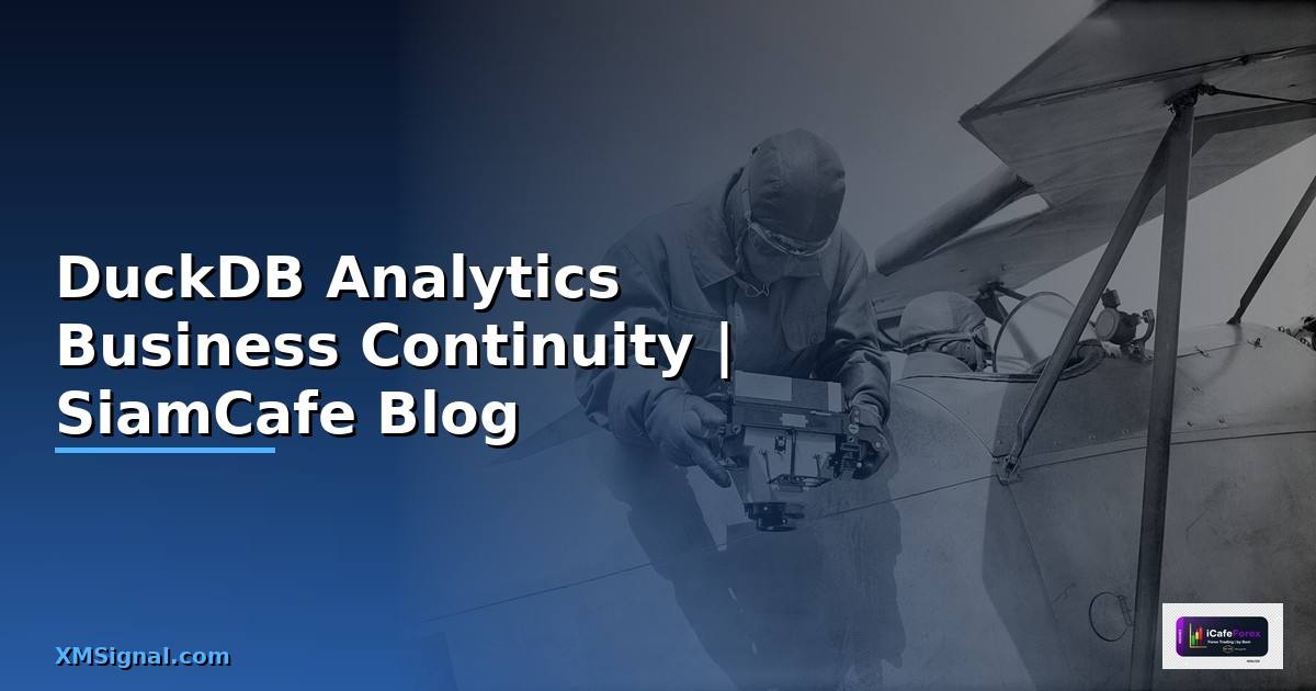DuckDB Analytics Business Continuity
