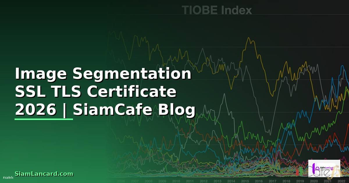 Image Segmentation SSL TLS Certificate