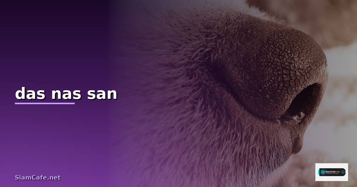 das nas san คือ — วิธีตั้งค่าและใช้งานจริงพร้อมตัวอย่าง