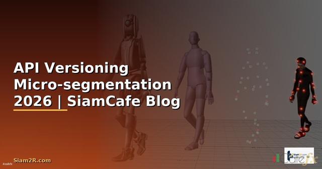 API Versioning Micro-segmentation