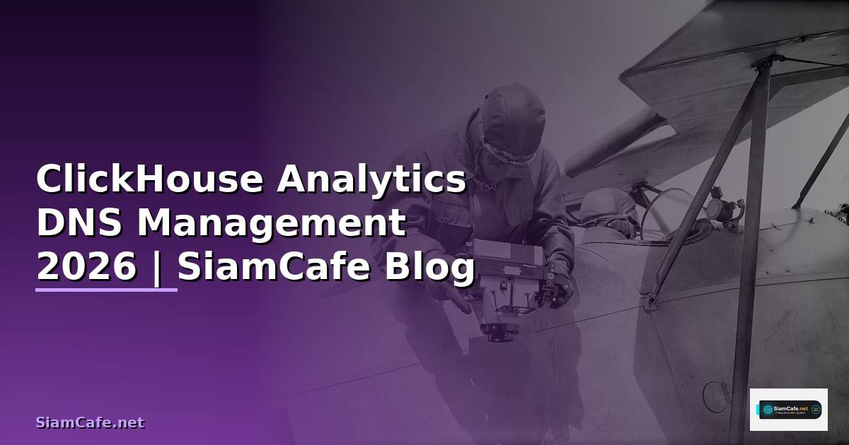 ClickHouse Analytics DNS Management