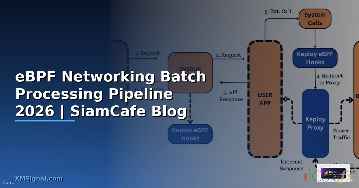 eBPF Networking Batch Processing Pipeline