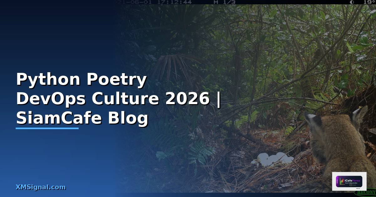 Python Poetry DevOps Culture