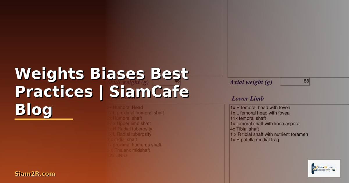 Weights Biases Best Practices ที่ต้องรู้