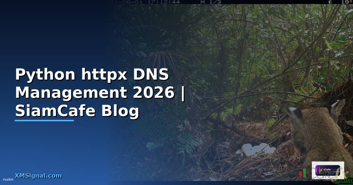 Python httpx DNS Management