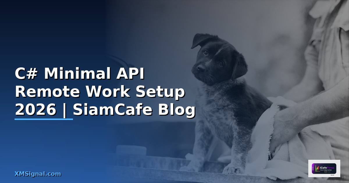C# Minimal API Remote Work Setup
