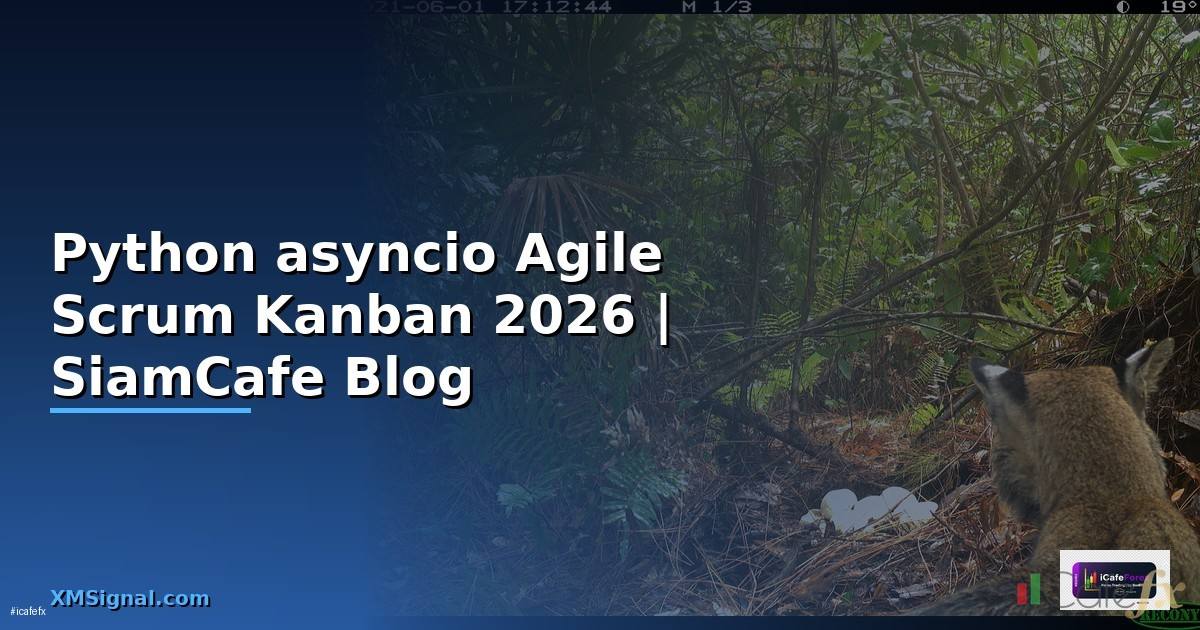 Python asyncio Agile Scrum Kanban