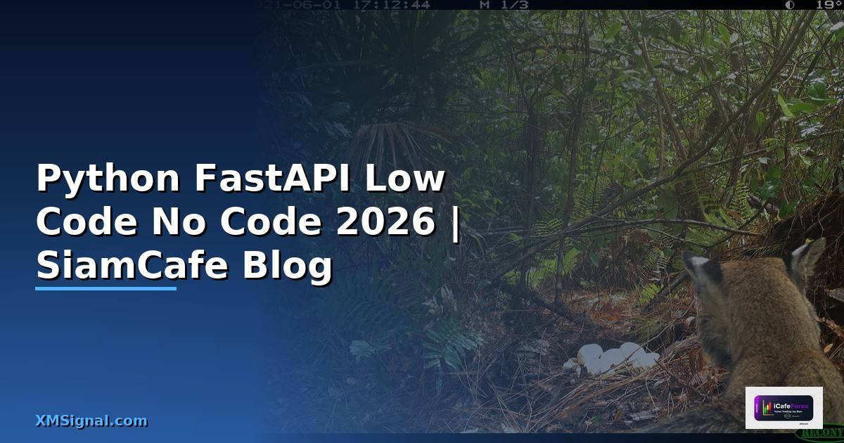 Python FastAPI Low Code No Code