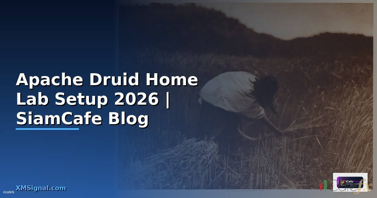 Apache Druid Home Lab Setup