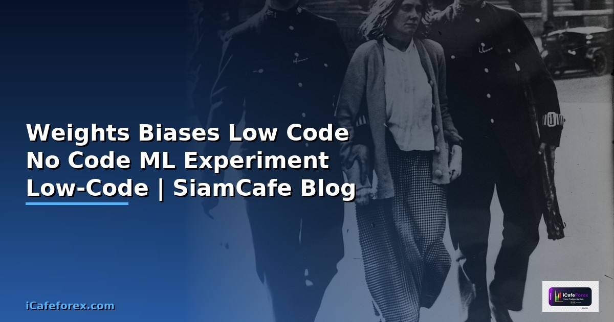 Weights Biases Low Code No Code — จัดการ ML