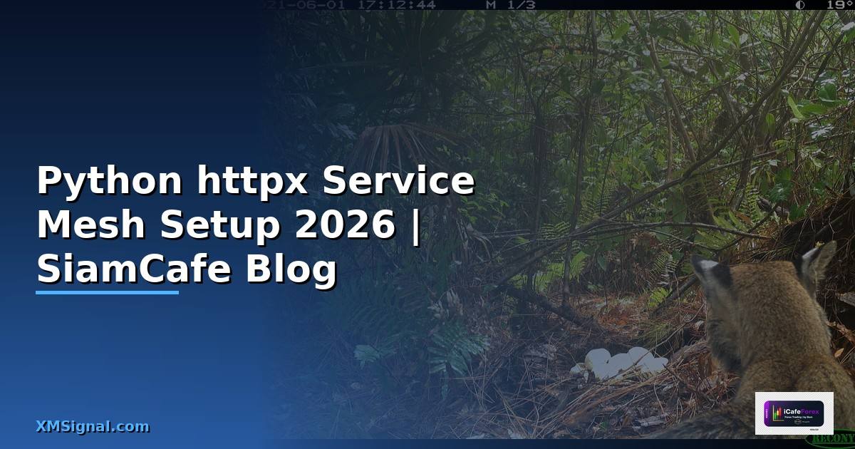 Python httpx Service Mesh Setup