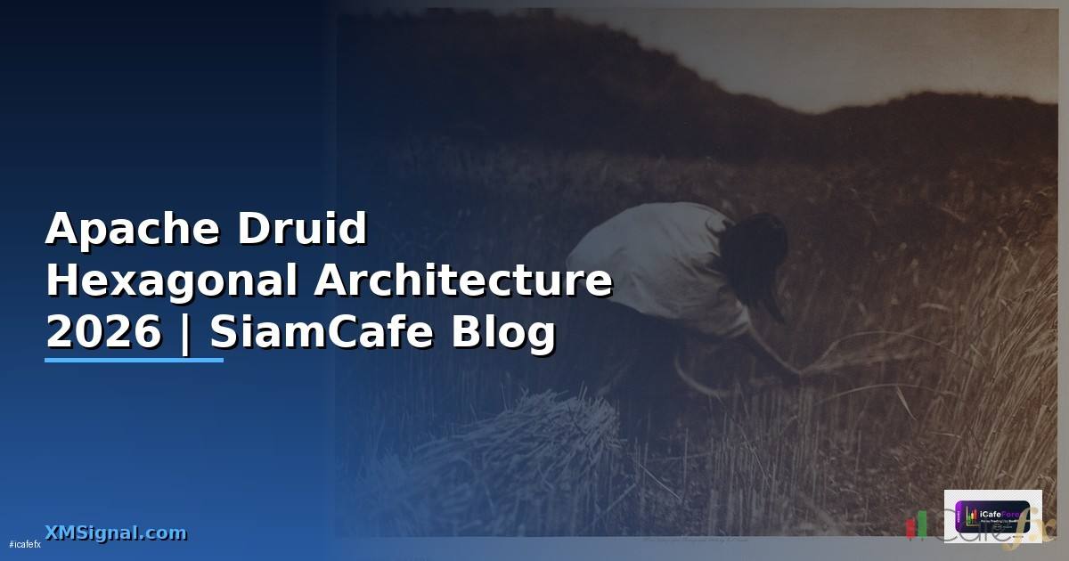 Apache Druid Hexagonal Architecture