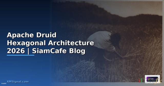 Apache Druid Hexagonal Architecture