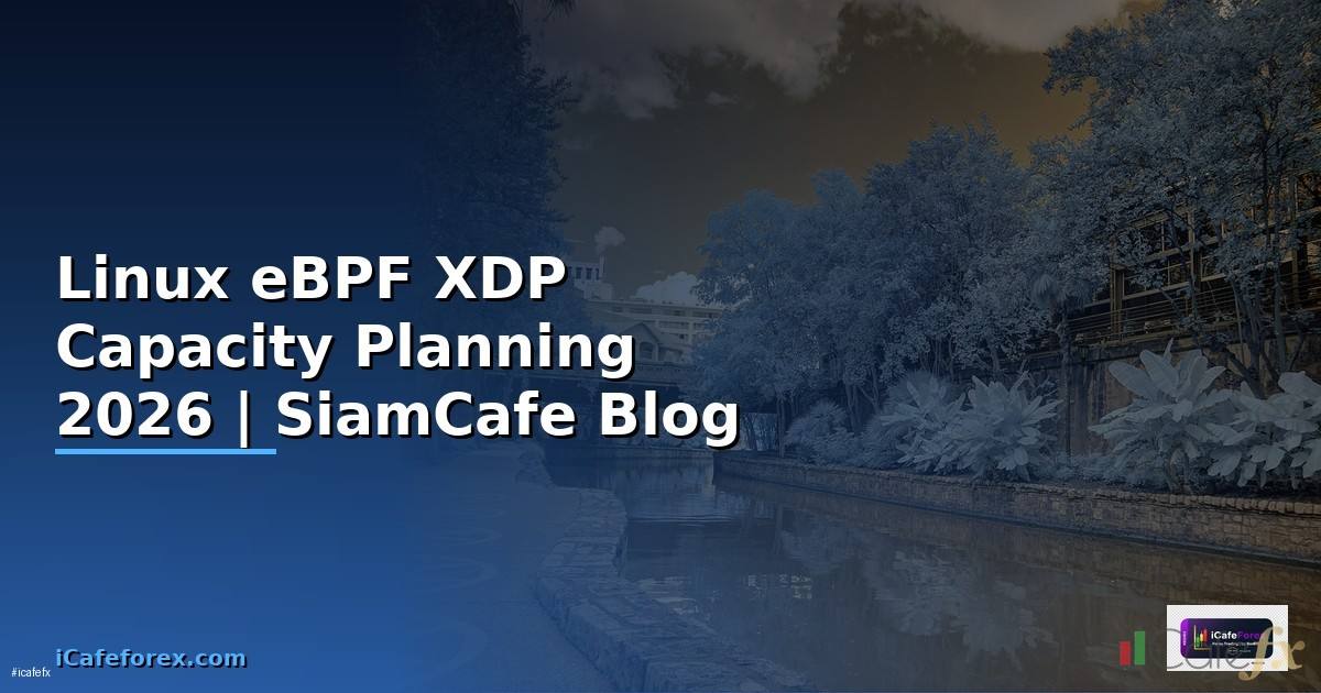 Linux eBPF XDP Capacity Planning
