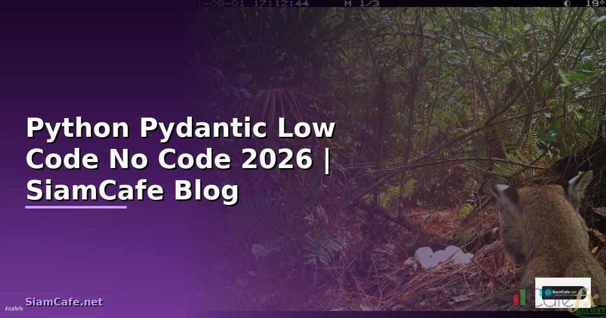 Python Pydantic Low Code No Code