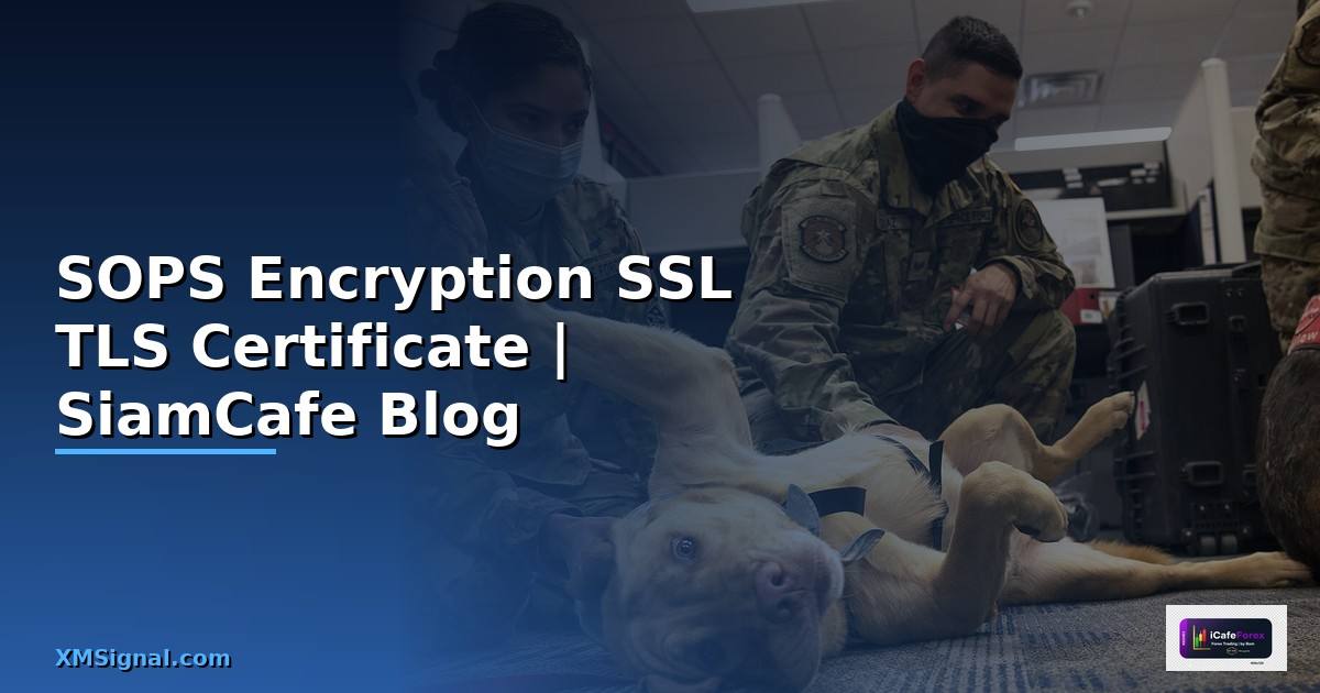 SOPS Encryption SSL TLS Certificate