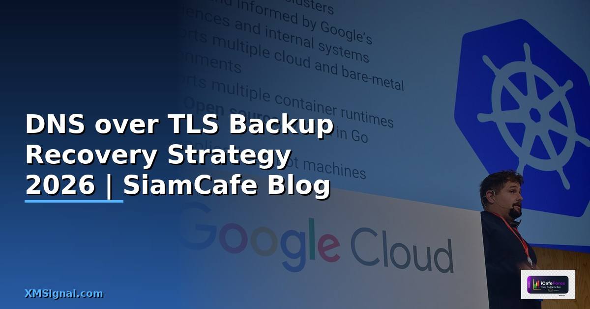 DNS over TLS Backup Recovery Strategy