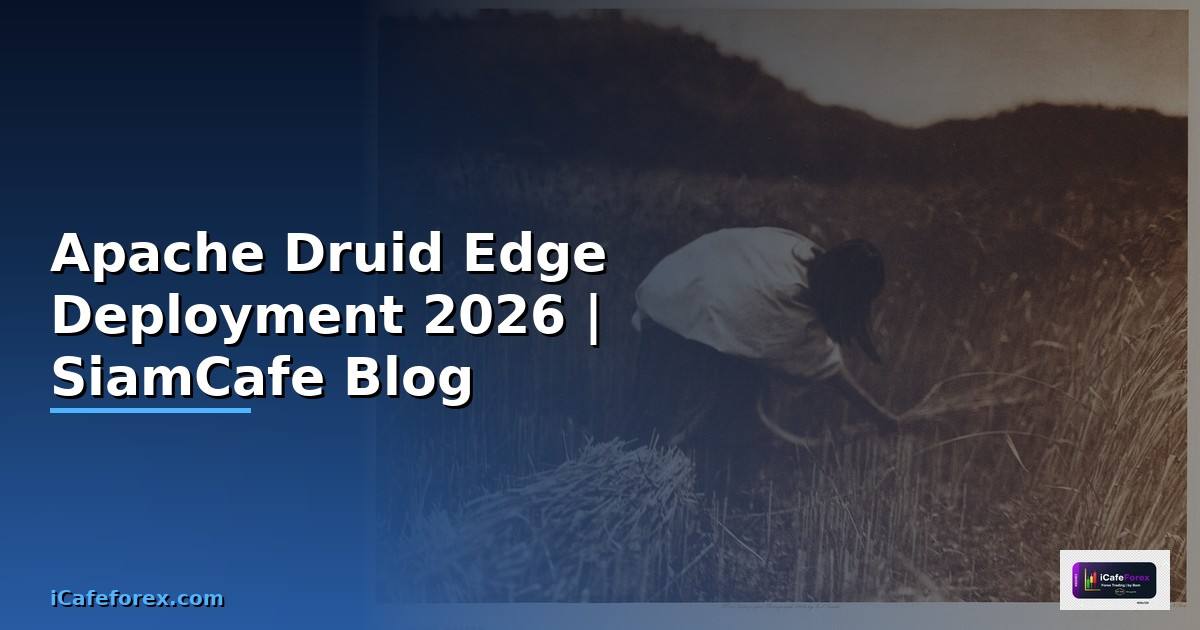 Apache Druid Edge Deployment