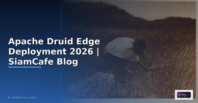 Apache Druid Edge Deployment