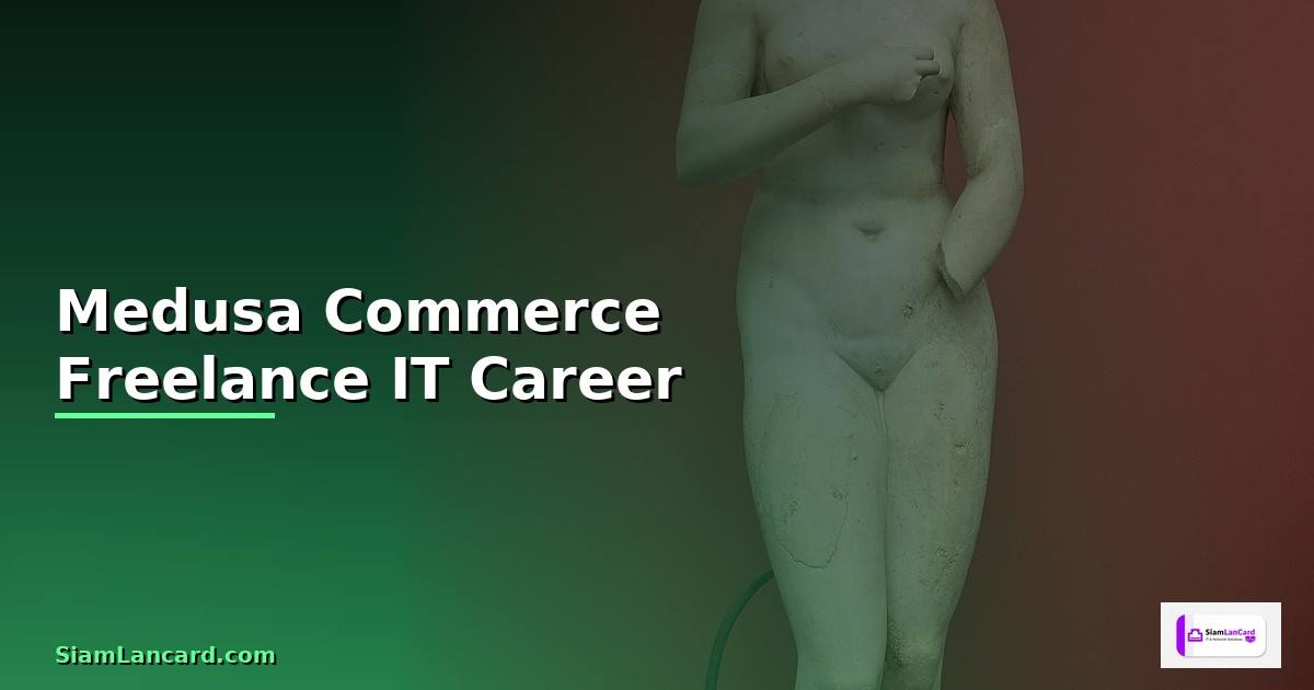 Medusa Commerce Freelance IT Career —