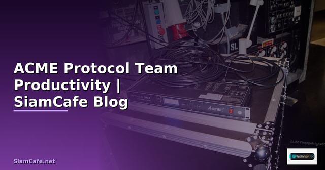 ACME Protocol Team Productivity