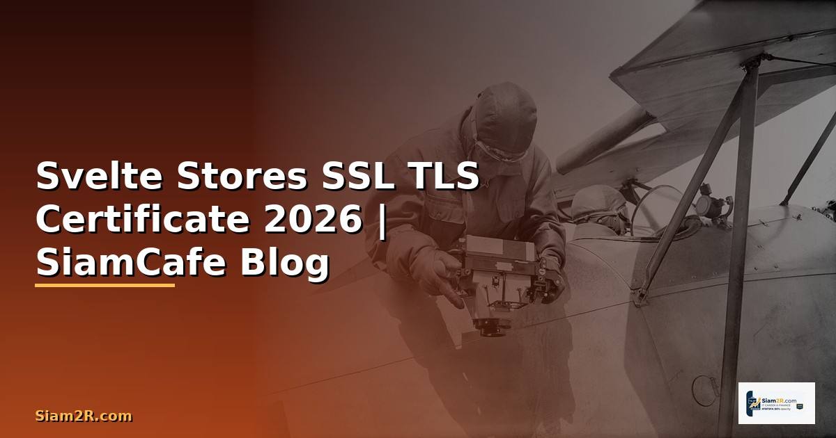 Svelte Stores SSL TLS Certificate