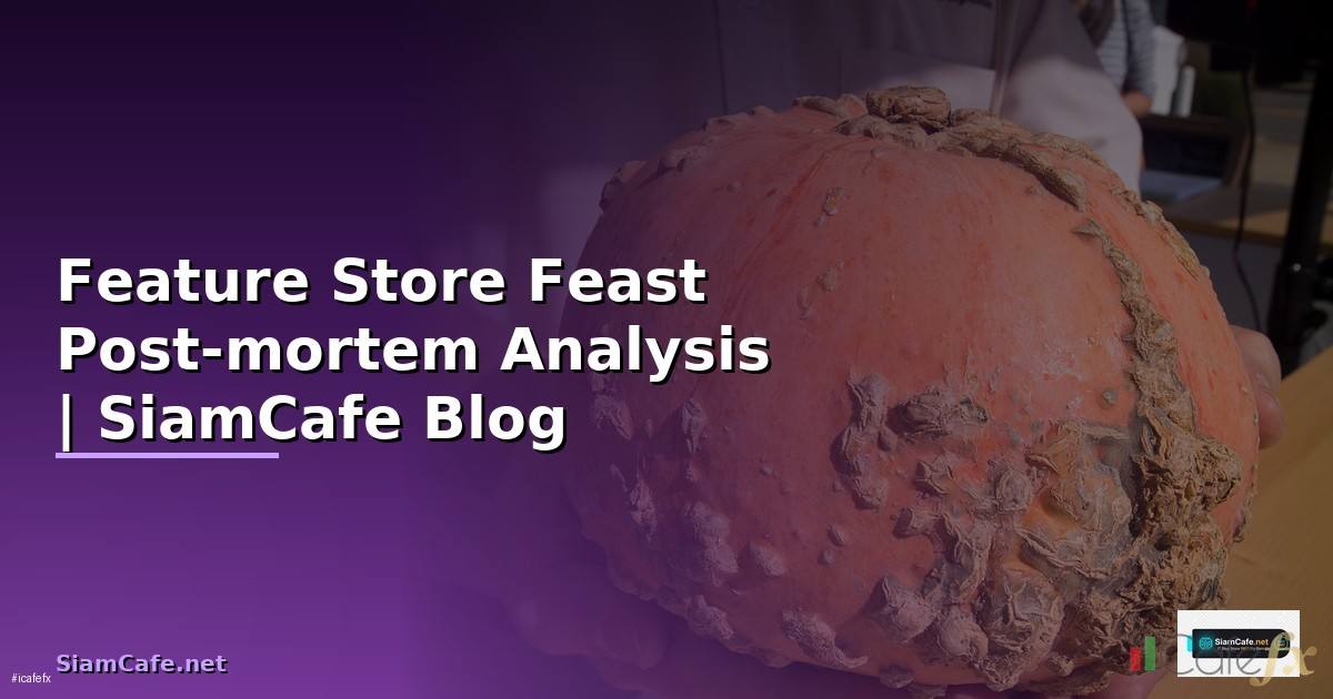 Feature Store Feast Post-mortem Analysis
