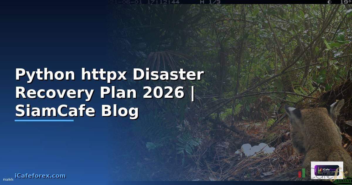 Python httpx Disaster Recovery Plan