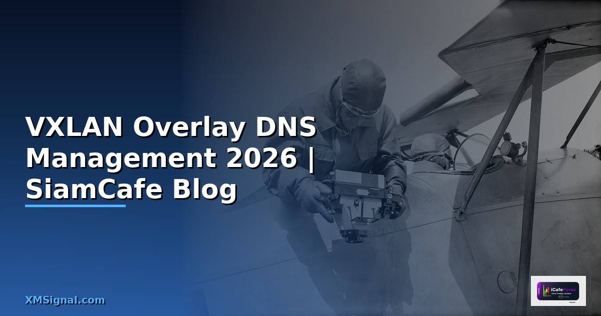 VXLAN Overlay DNS Management