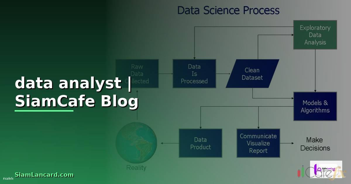 data analyst อ่านว่า