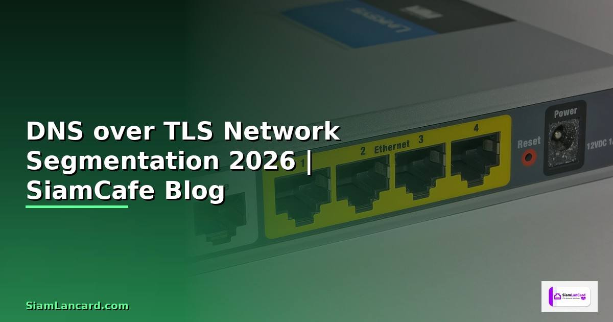 DNS over TLS Network Segmentation